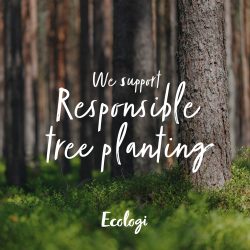 Responsible tree planting ecologic sustainable carbon neutral
